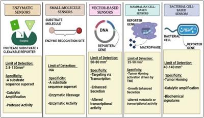 Non-steroidal anti-inflammatory drugs and biomarkers: A new paradigm in colorectal cancer